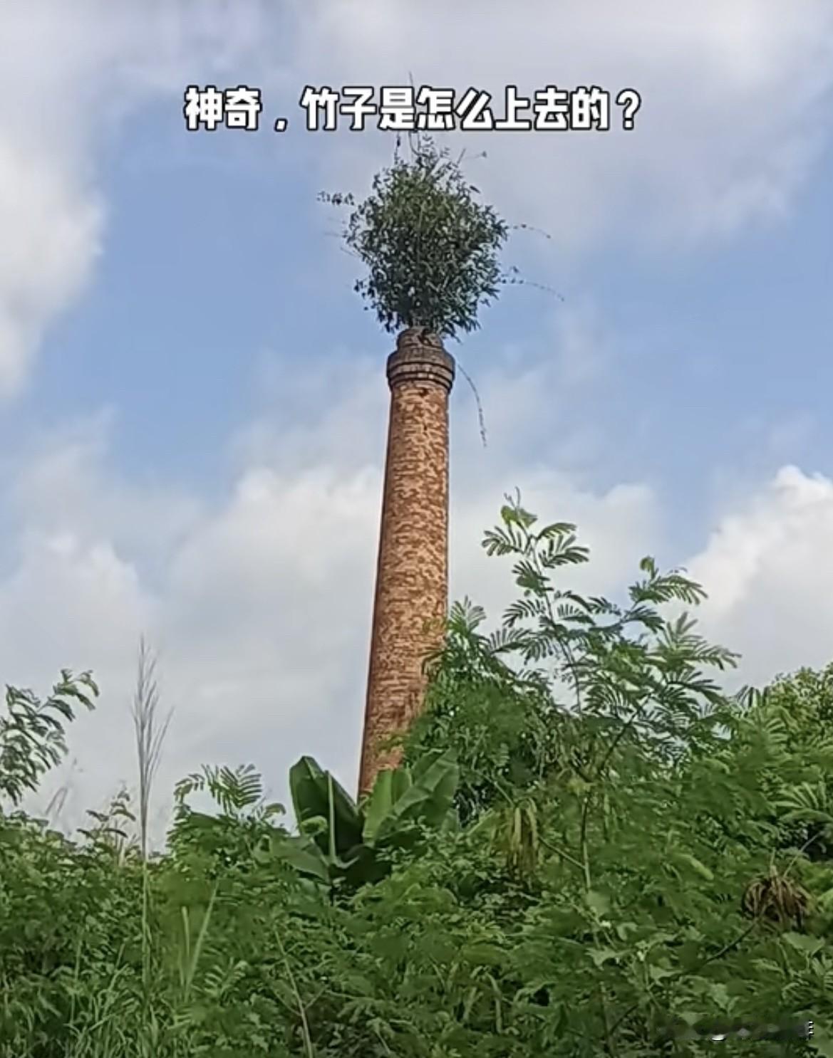 上联：一山一水一风景
  下联：一草一木一春秋