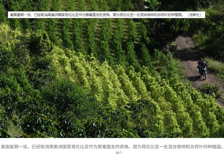 南美动荡之江湖风云起
美国星期一表明，已取消南美洲国家哥伦比亚作为禁毒盟友的资格