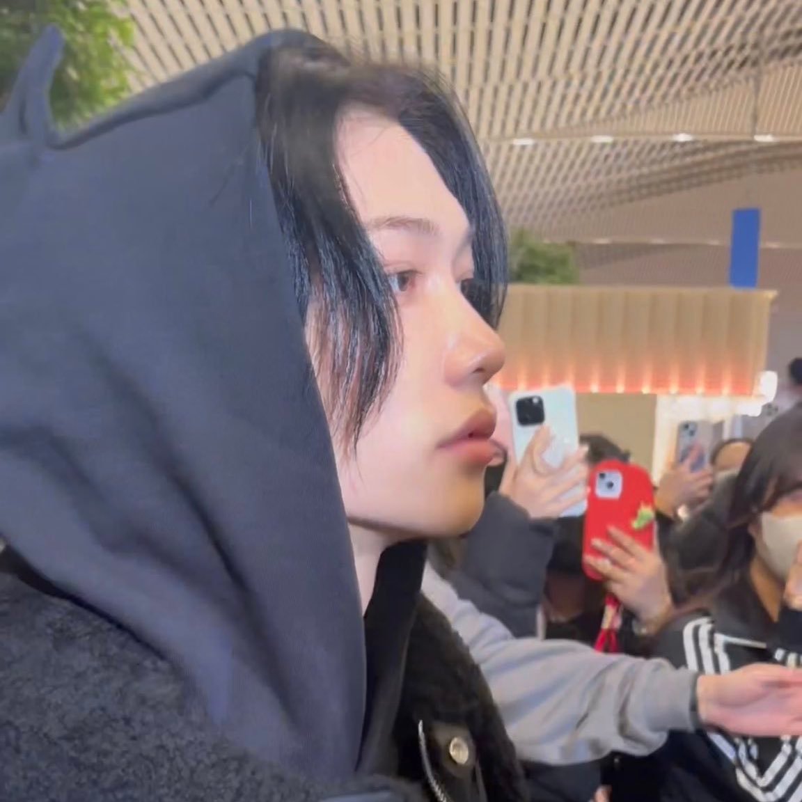 淡淡养胃感 ​​​