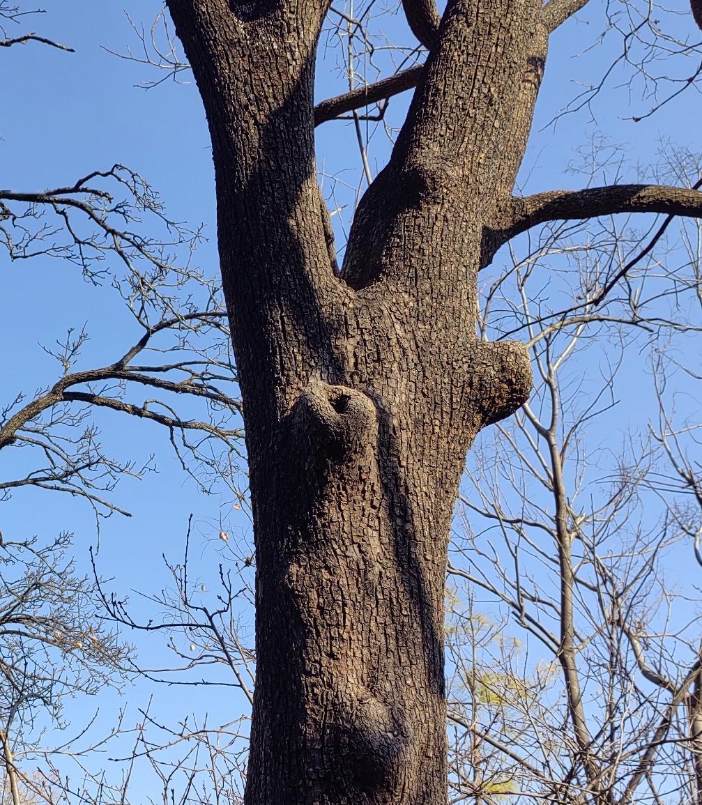 单位最糟糕的一种人是，领导给他讲道理，他给领导耍横；领导想法安慰他，他始终怨气冲