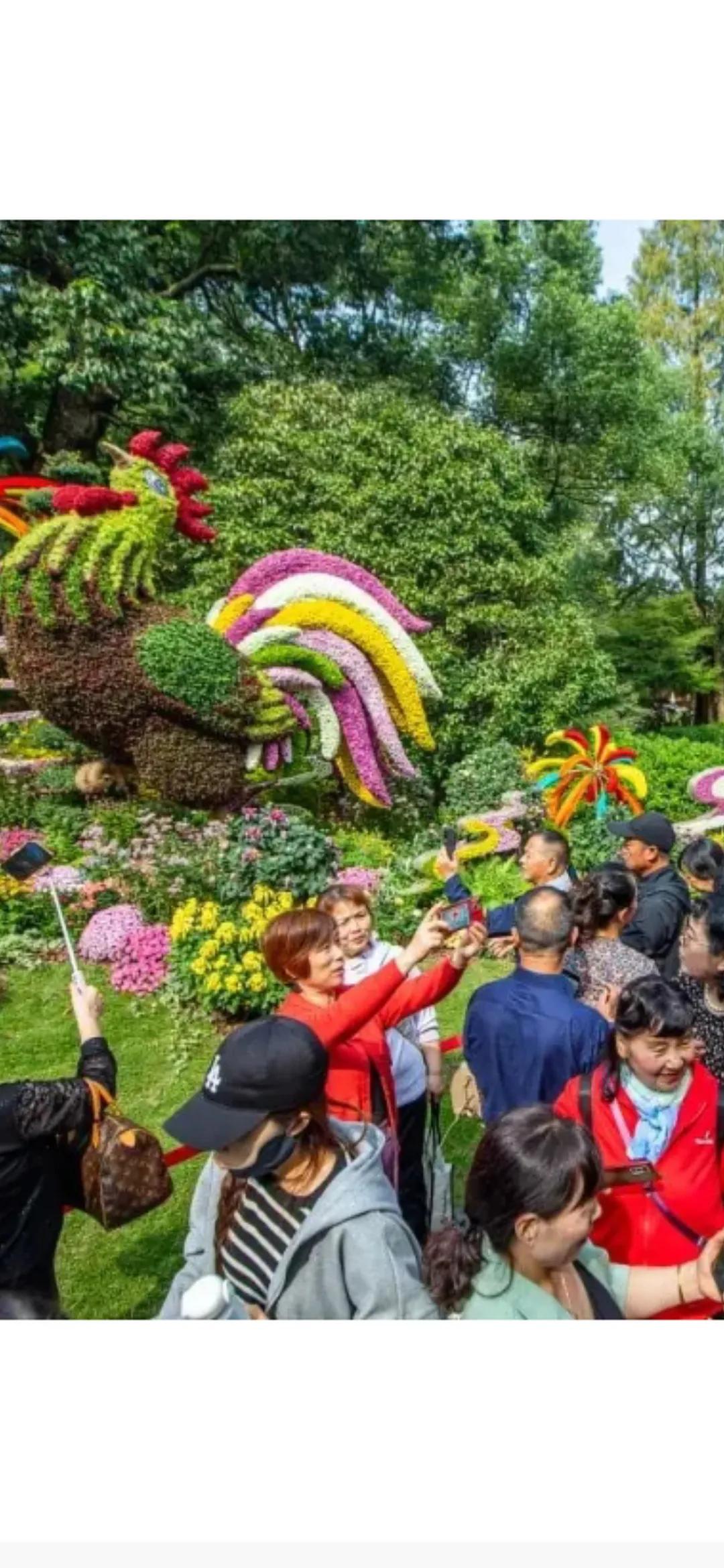 金秋十月菊花开
艺术创作更显美