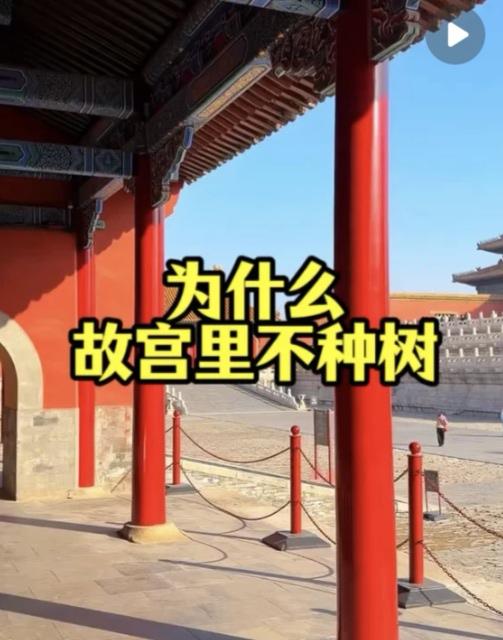 谁知道故宫里为什么不种树？