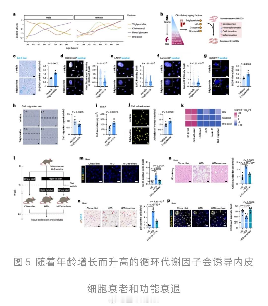 35～45岁是我肌肉量、基础力量值最高峰的十年，也是我运动生涯中身体综合素质最高