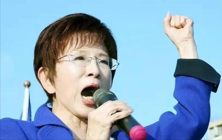 终于弄清楚了！原来某些人之所以不敢动洪秀柱，不是因为她是前主席，也不是因为有谁保