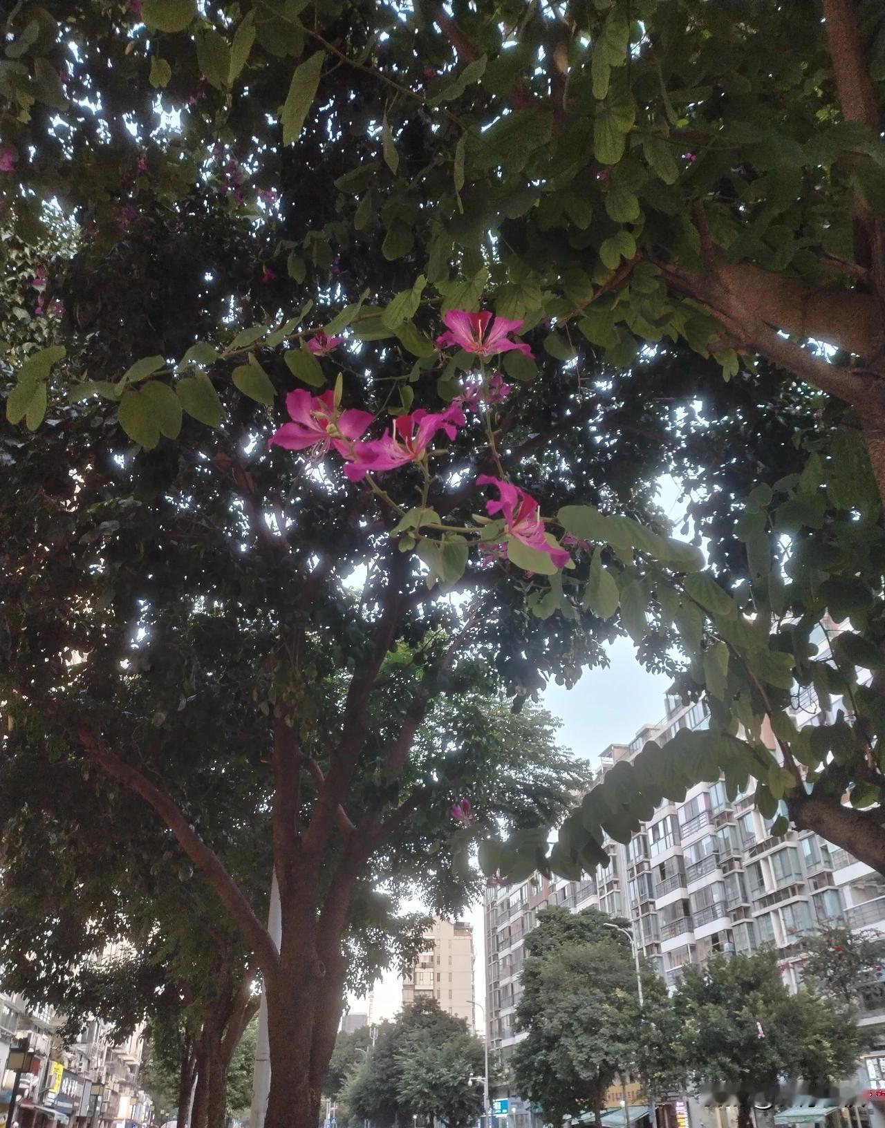 因为一个姓氏结婚的感情能长久吗?
结婚完全是男女双方在爱情的基础上，双方自愿缔结