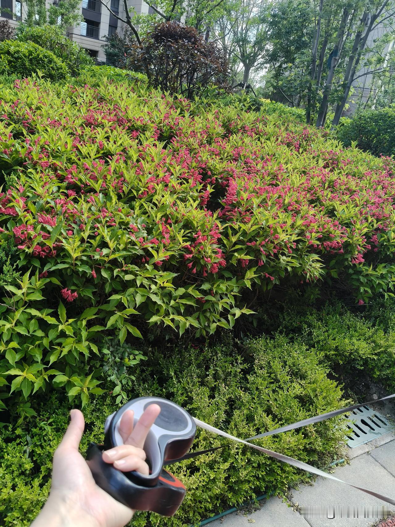 不确定