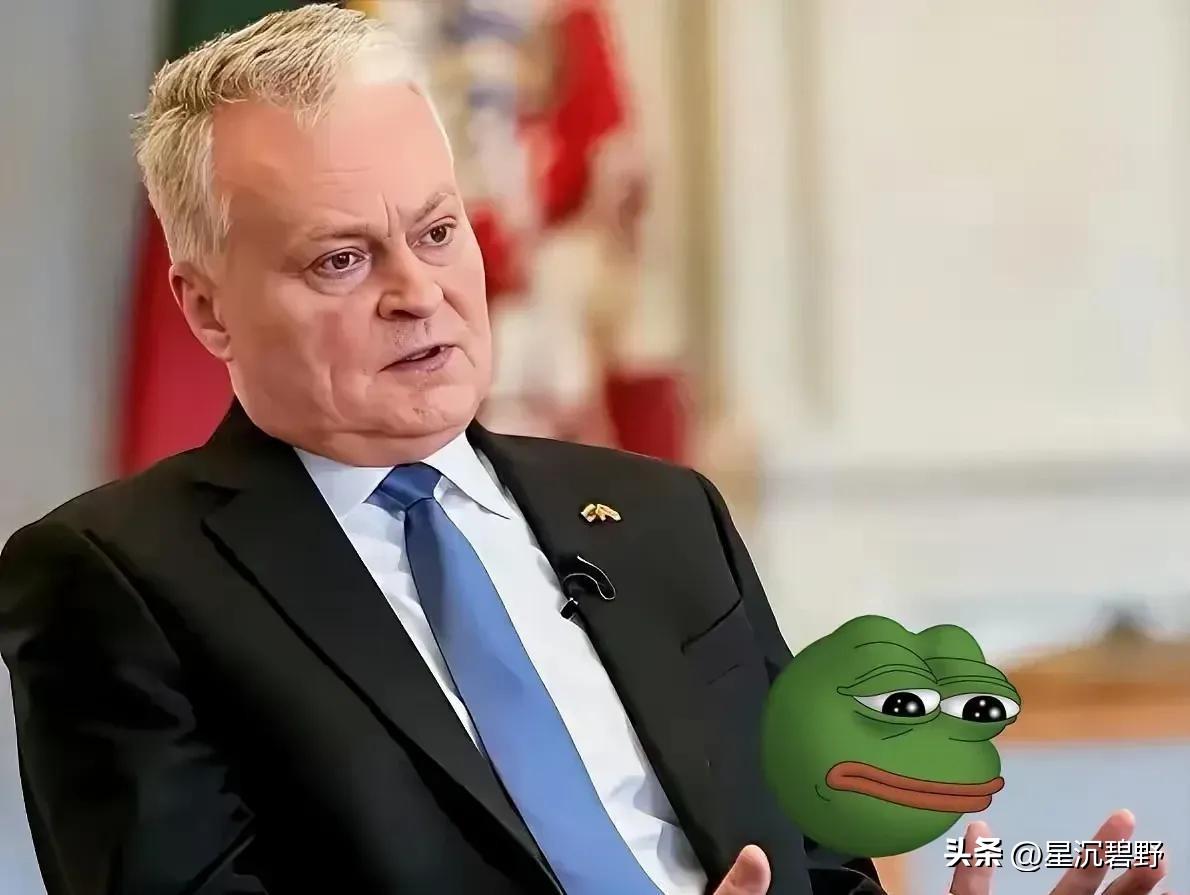 立陶宛终于感到了疼，就在昨天，立陶宛总统说了这样一段话！
2月4日，立陶宛总统瑙