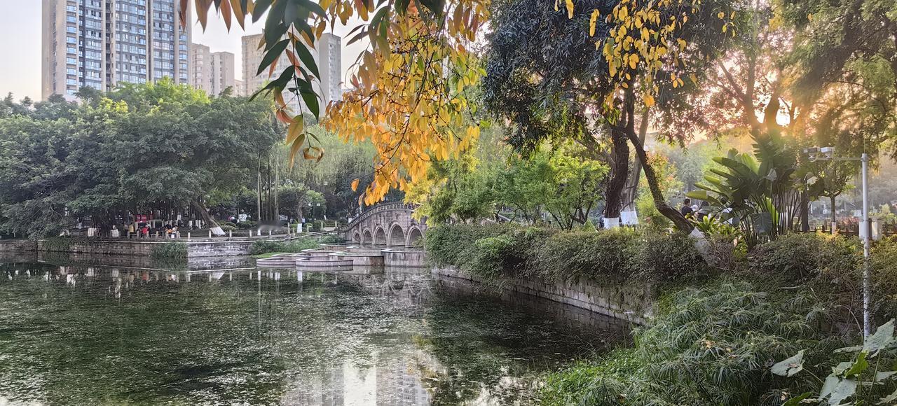 [送心]大渡口公园，有两个湖，中间就是这座桥为界…似乎北湖的水更清亮一些[灵光一