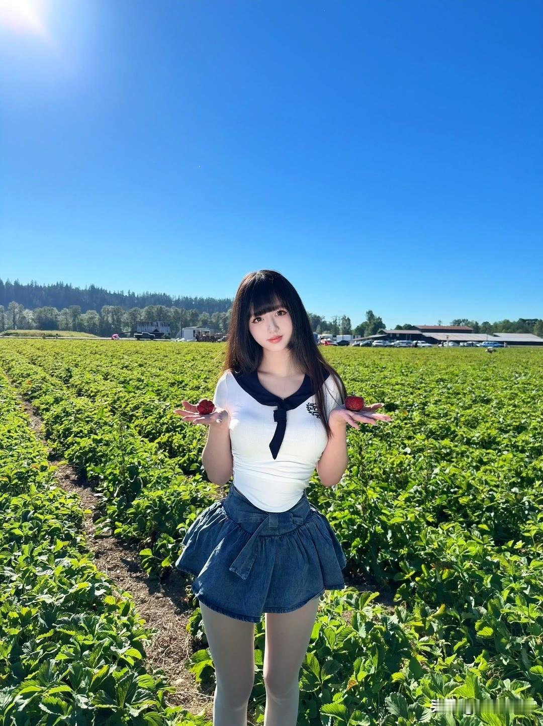 夏日田园少女，草莓甜美相伴草莓风景照 田园采摘姑娘