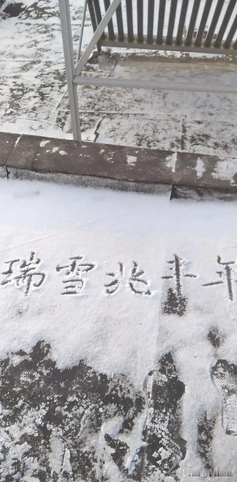 年年瑞雪兆丰年