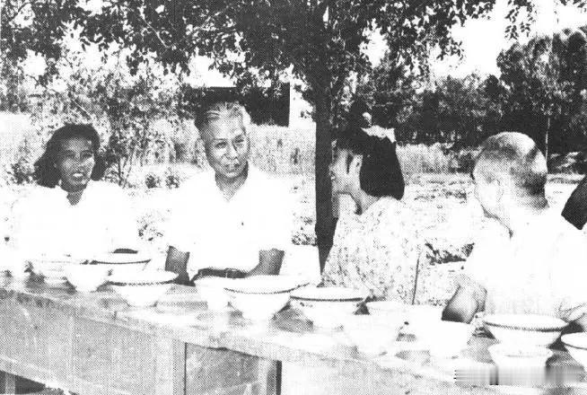 1958年9月14日，全国人大常委会委员长刘少奇在河北省成安县西南庄大队视察棉花