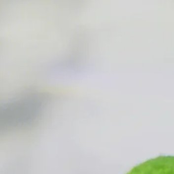 种植 🌱海藻球的养殖方法和注意事项1.光照：海藻球喜欢充足的光照，但要避免阳光
