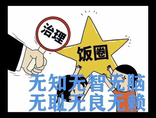 陈梦最大的贡献，就是给饭圈文化迎头一击，让竞技体育回归公平竞争的的正确轨道。陈梦
