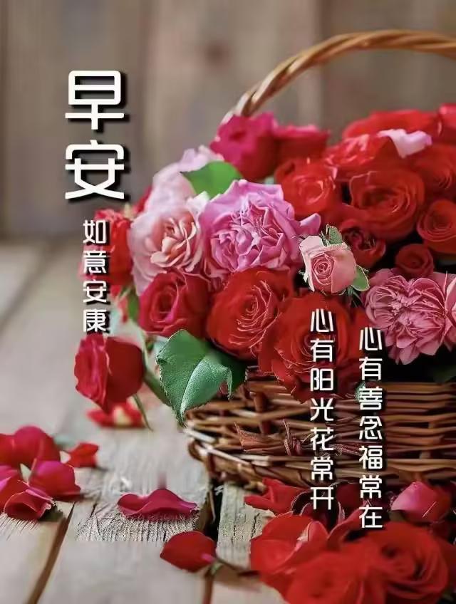 今日青岛，气温23C'至28C'度，体感24C'度，北风三级。祝您早安吉祥！
