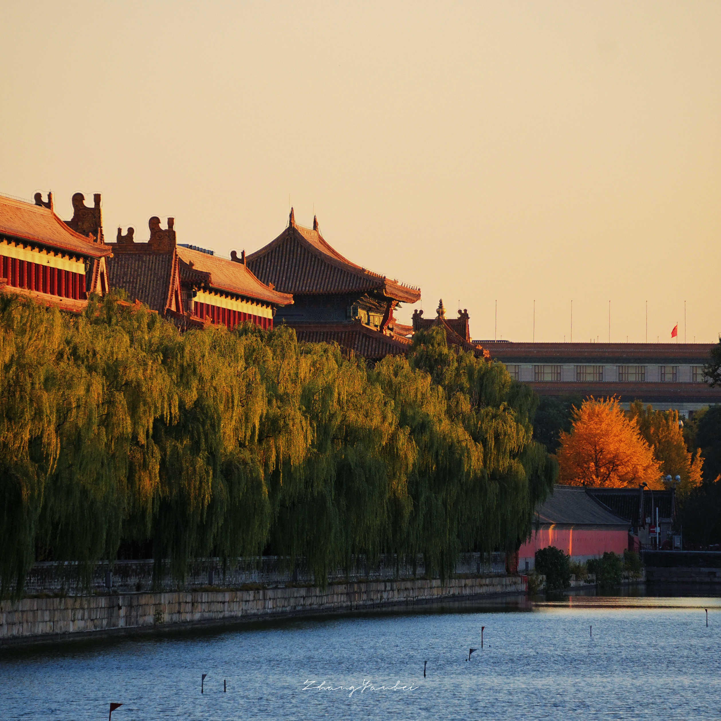 无缘南方的秋唯有想北平  摄影