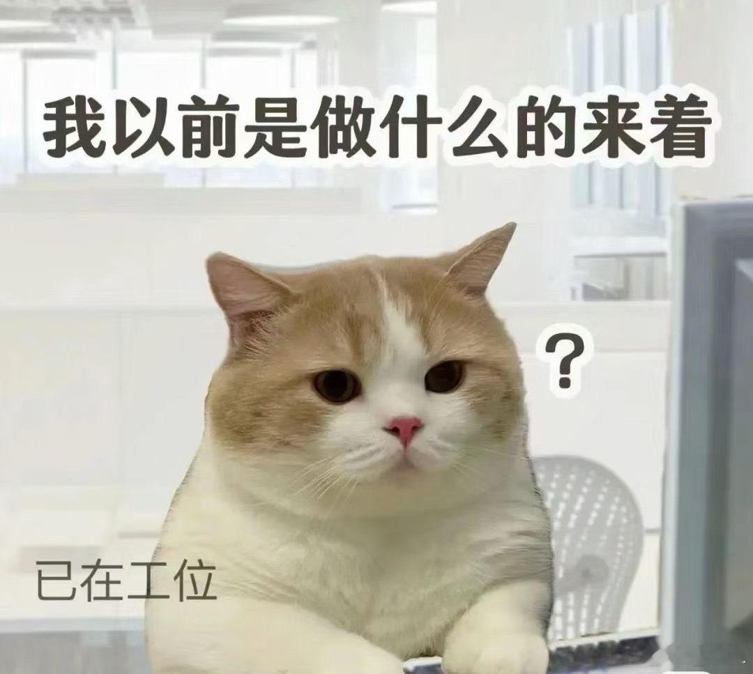 啊？ ​​​