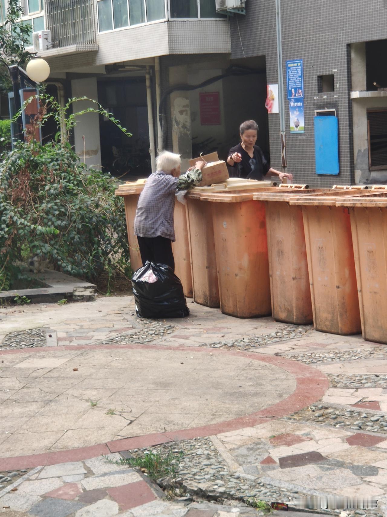 小区楼下垃圾桶旁边经常会看到这位白发苍苍的老太太，老太太身材不高，再加上背部佝偻