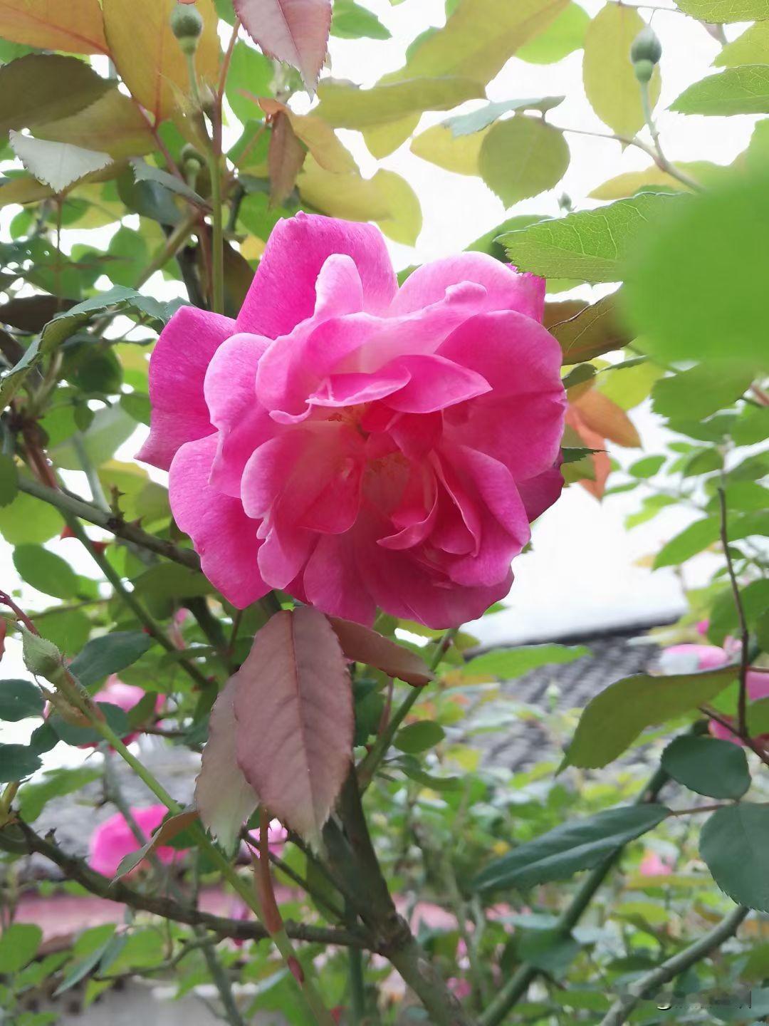 人要懂得坚持走更远的路，不被他人“无辜伤害”

人生下半场的路，越是往后，你会看