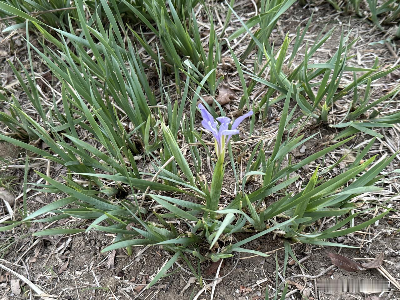 【小对联】
上：对等；
下：……？