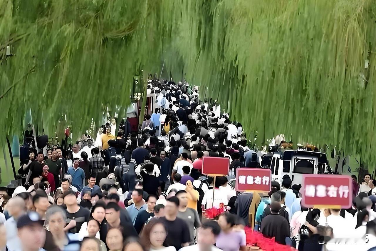 我认为五一挤热门景区，值！

平时请假扣钱，只有假期才能出门，高速还免费。人是多