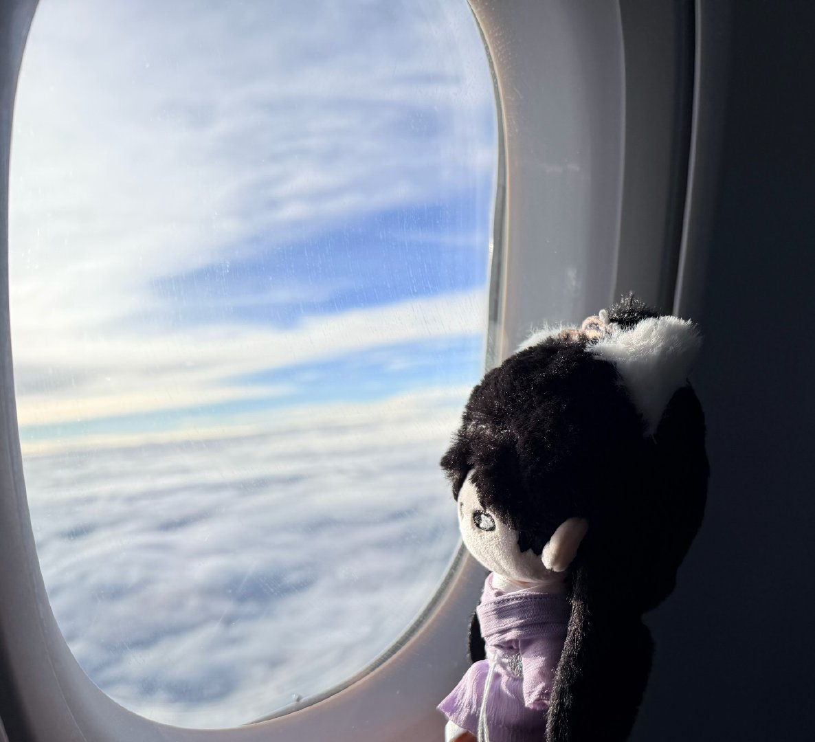 第一次坐🛫的李瞄瞄若有所思中……原来那高处，真的很高耶
