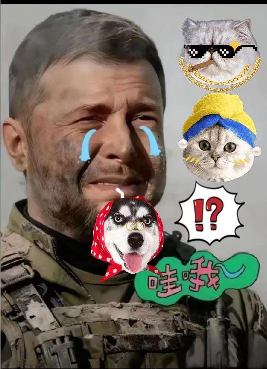 快讯
乌克兰突然宣布
 
11月13日，乌克兰外交部宣布，因缺乏成果，乌克兰方面