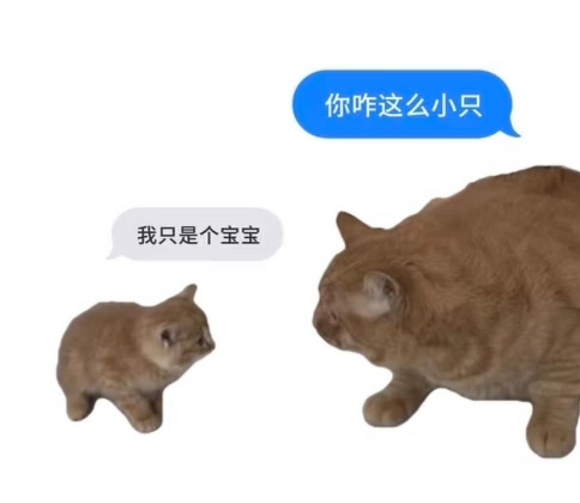 嗯！ 
