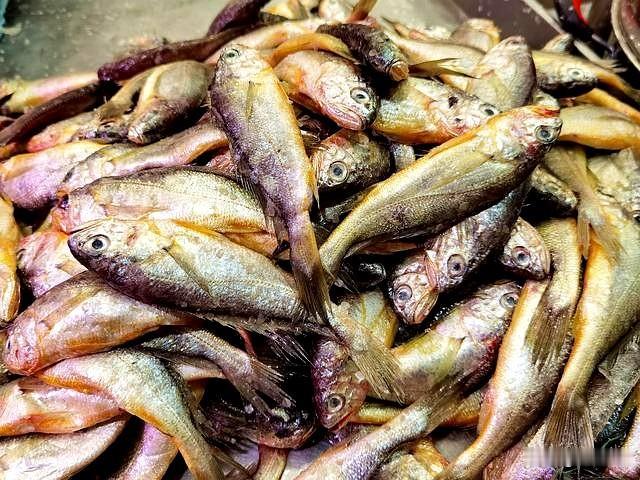 俗话说“无鱼不成宴”，鱼肉可是咱们日常饮食里的重头戏！
不过啊，现在市场上有不少