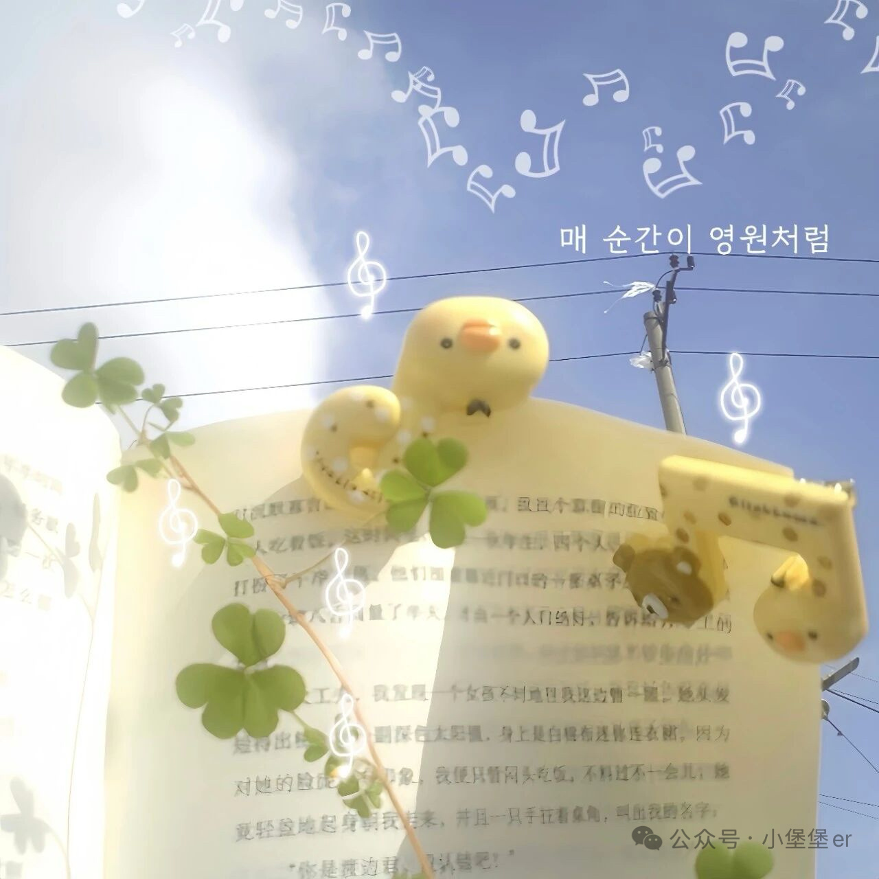 𝑾𝒆𝒄𝒉𝒂𝒕｜朋友圈搭配·幸运四叶草 