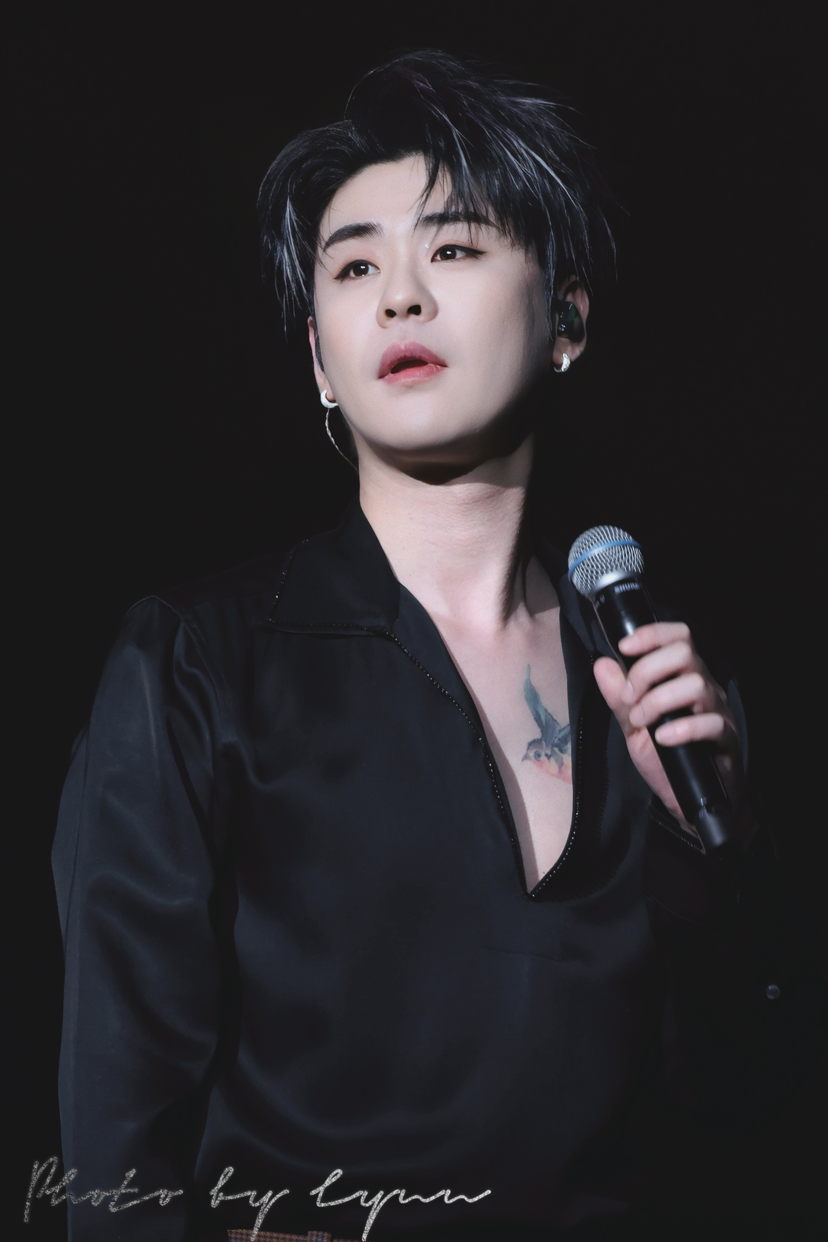 这么可爱的燕子 被你关那么久 你说你应该吗 