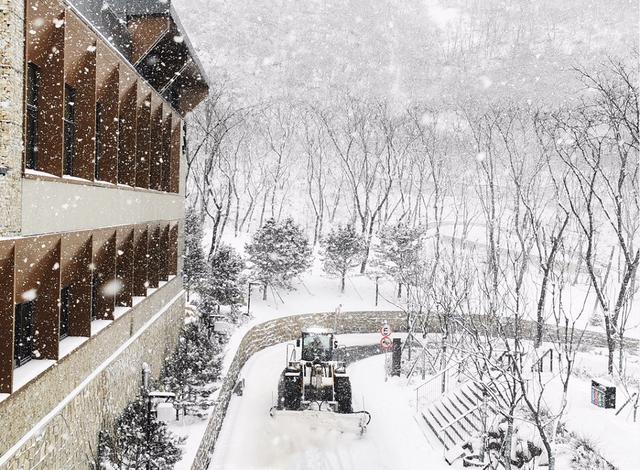 北京市|燕山雪花大如席，片片飘落冬奥城！快来收图——