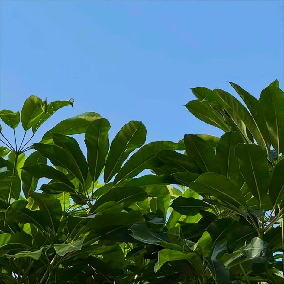 安徽：党纪政务处分1人
 
12月22日下午5:40，安徽：党纪政务处分1人，为