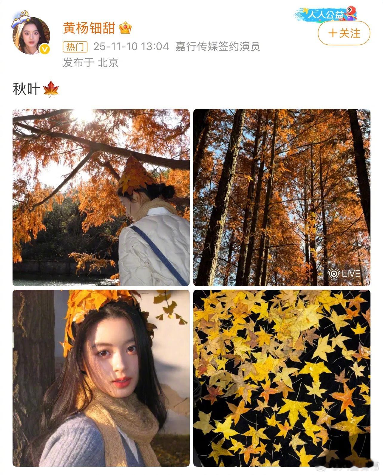 黄杨钿甜耳环风波后首次发微博 ​​​