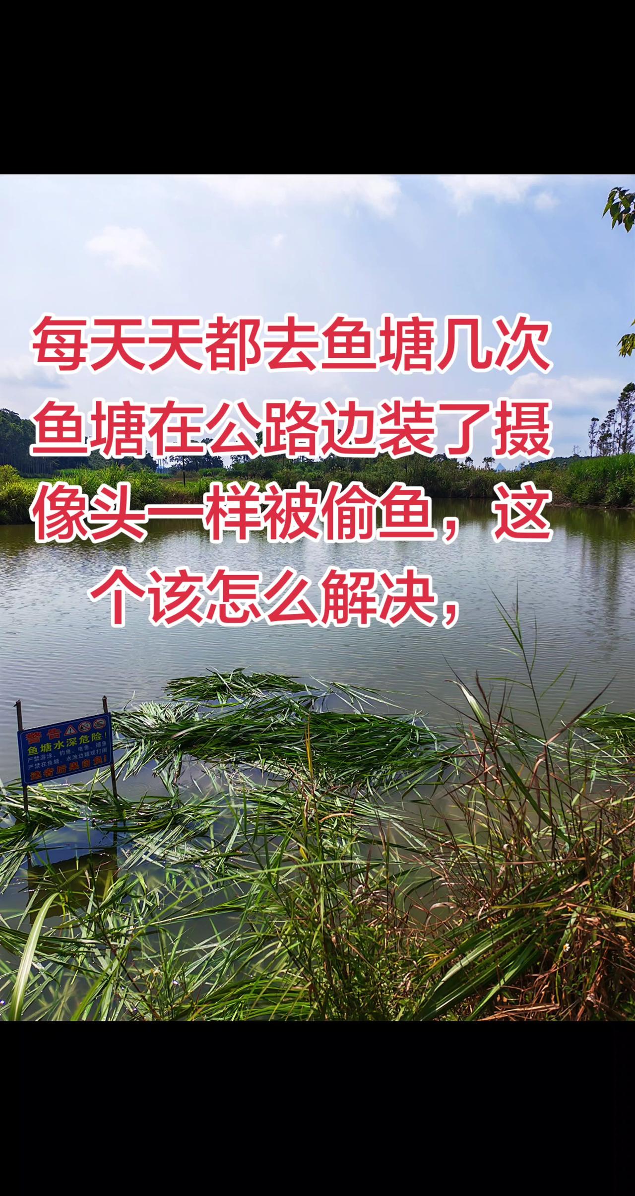 遇到这个问题是如何解决的养鱼日记