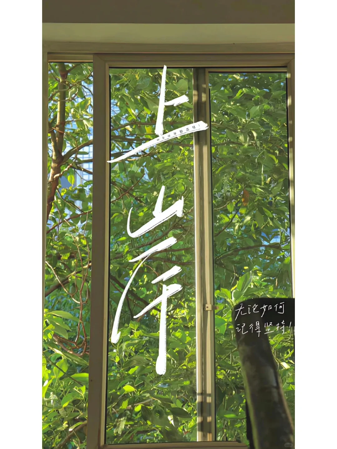 我如此菜都可以上岸 真的要相信你自己！！！ 	 我希望你能把路走完， ...