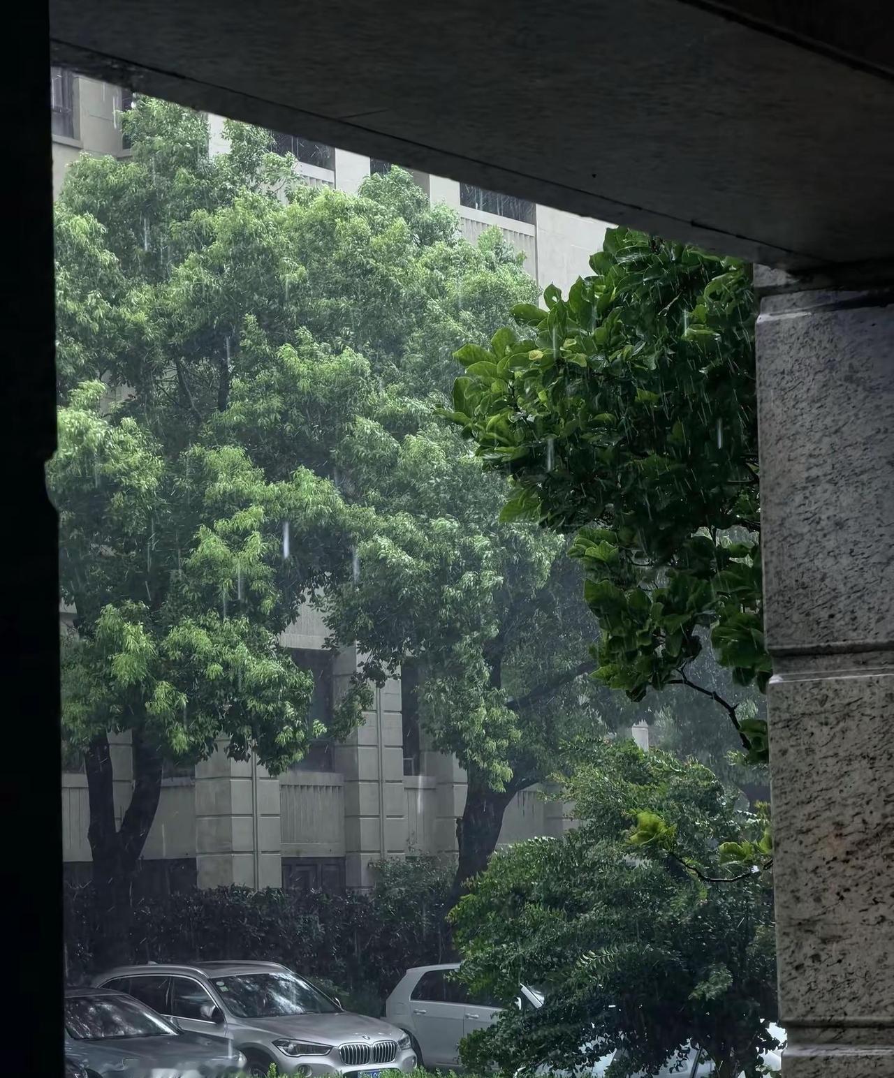 莫怪大雨滂沱 人生本就风雨兼程 人生总会给我们一些措不及防 就像这突如其来的狂风