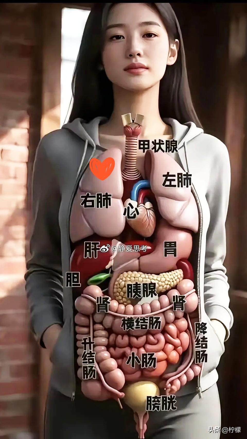 315给我们提了个醒：
 
1. 鸡蛋，选普通的就好。
2. 鱼虾，只买新鲜的。