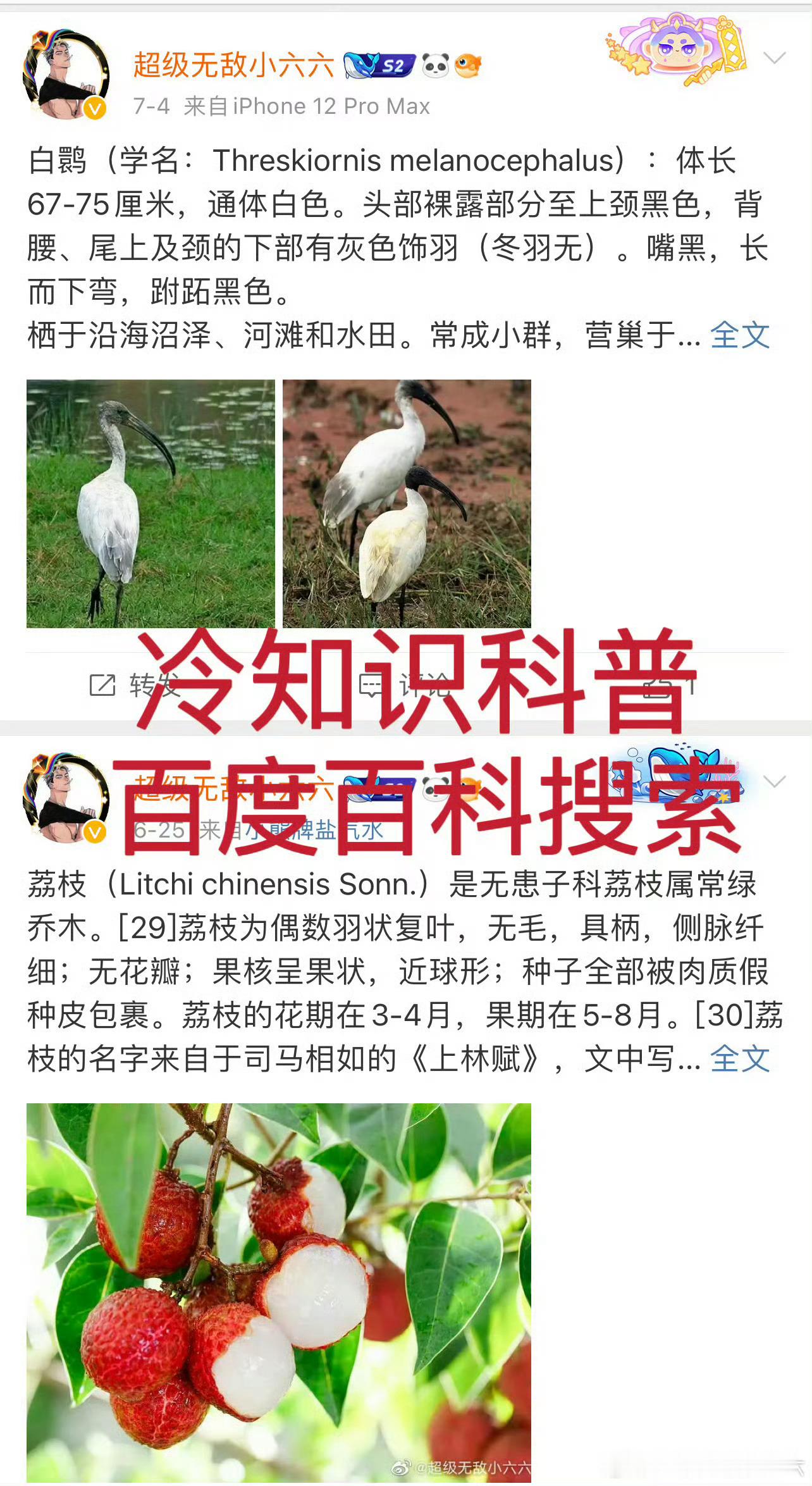 陈都灵  陈都灵一直在向前越来越好，未来还有更多剧要播取得更多的成就，作为粉丝我