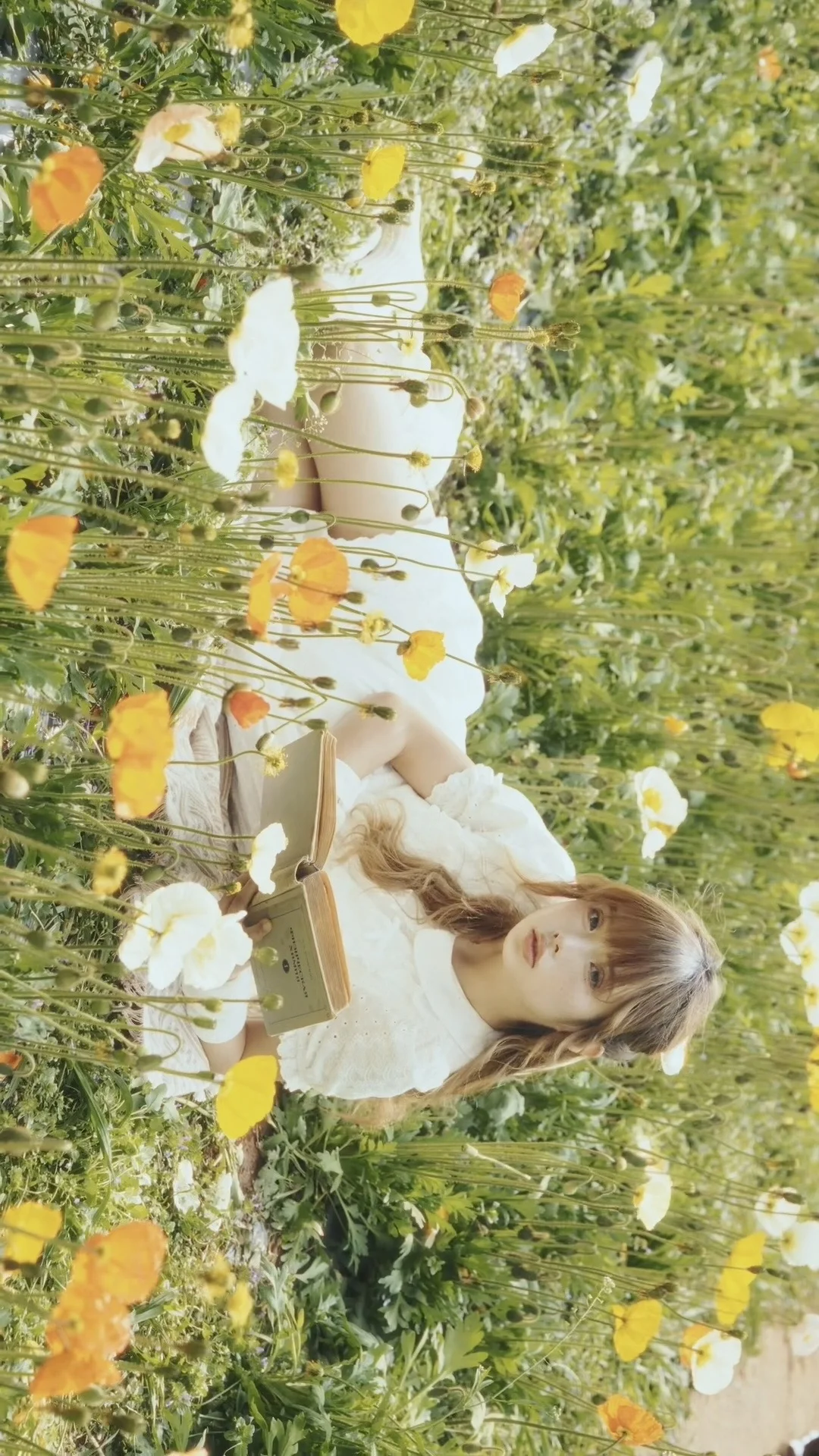 交换春天|全屏打开我镜头下的春日电影感