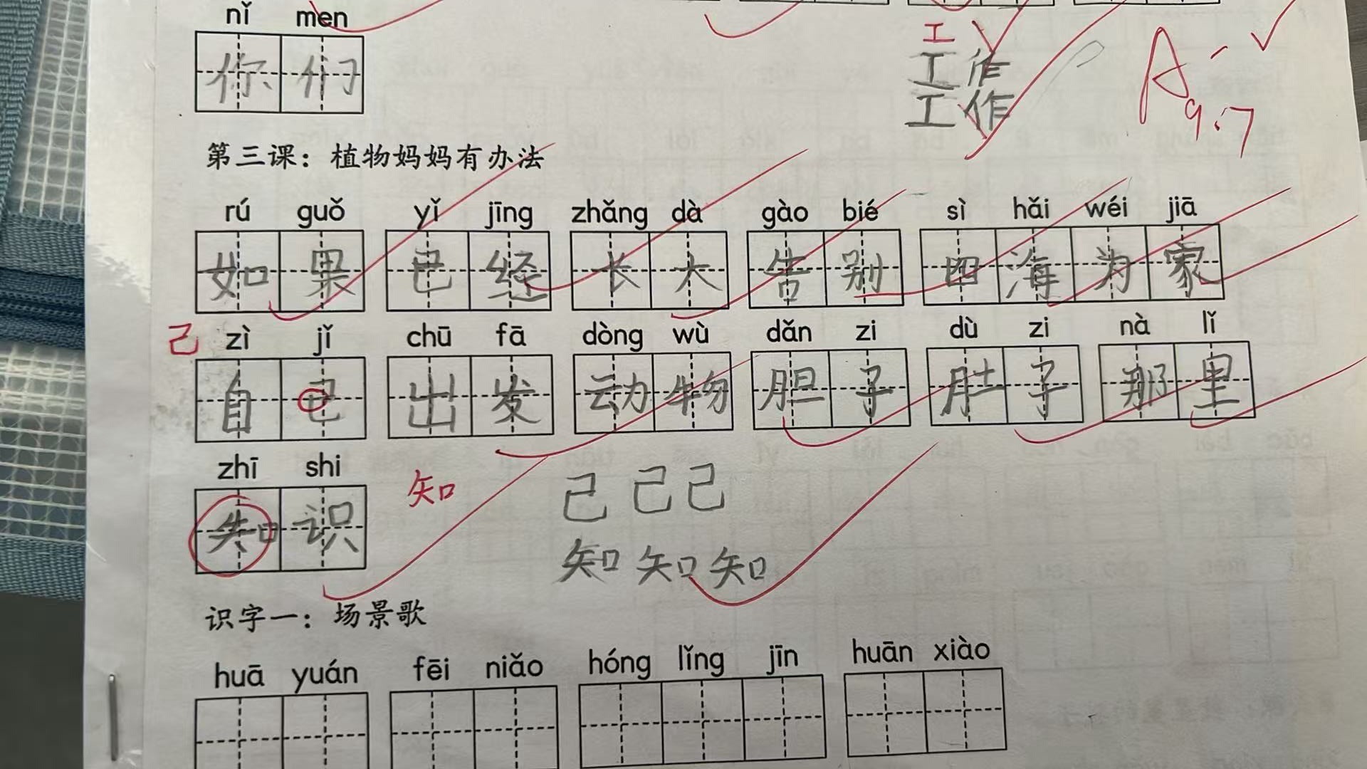 练字初见成效的感觉。比一年级写得好。 ​​​
