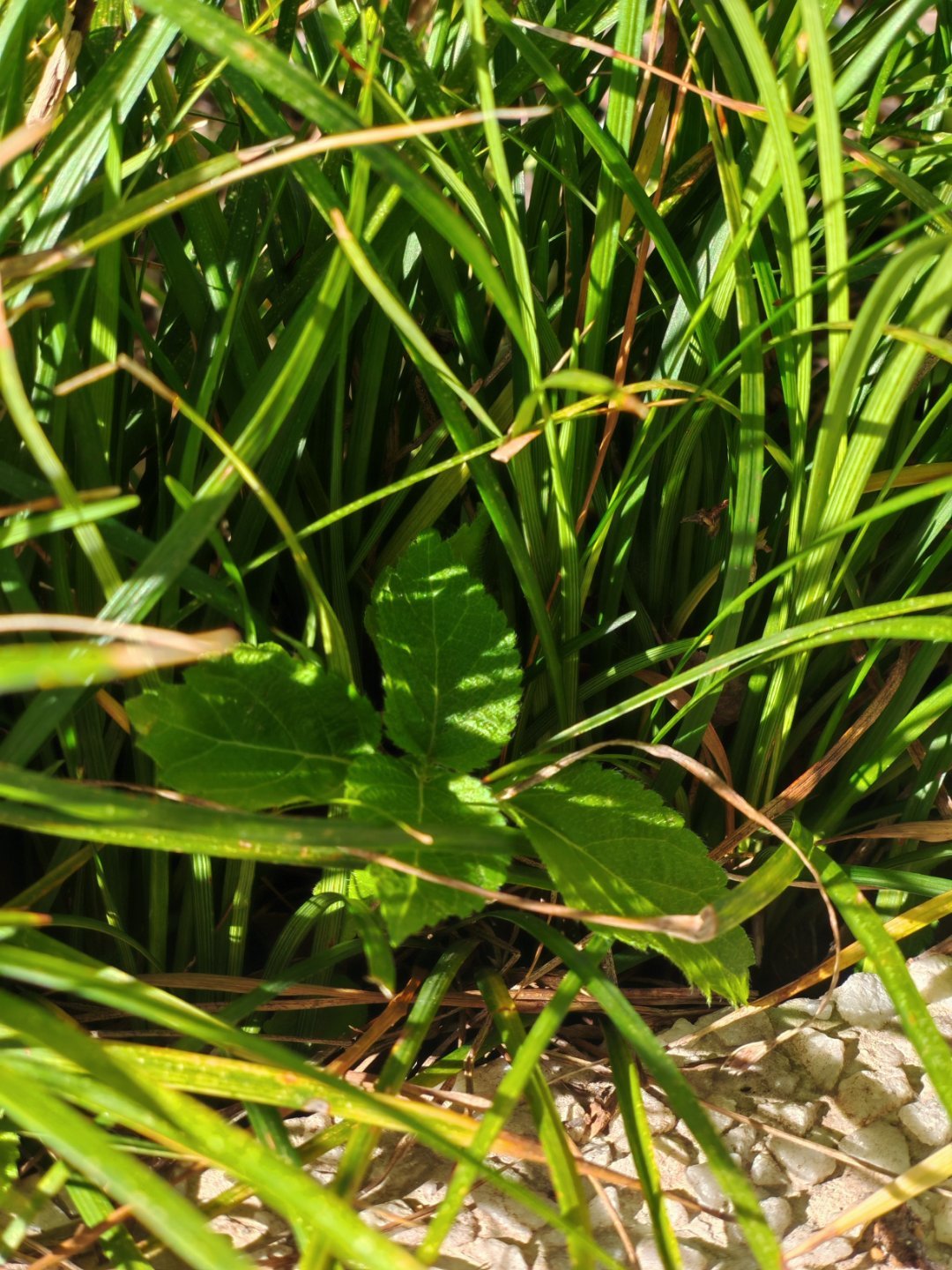 枣枣枣“你就蜷在哪儿，慢慢地活。”生活不是只有进的，累了就歇会儿没事的。就别的不