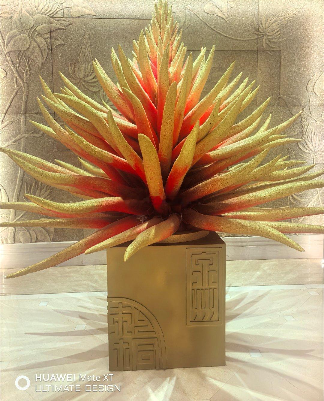 分享图片 