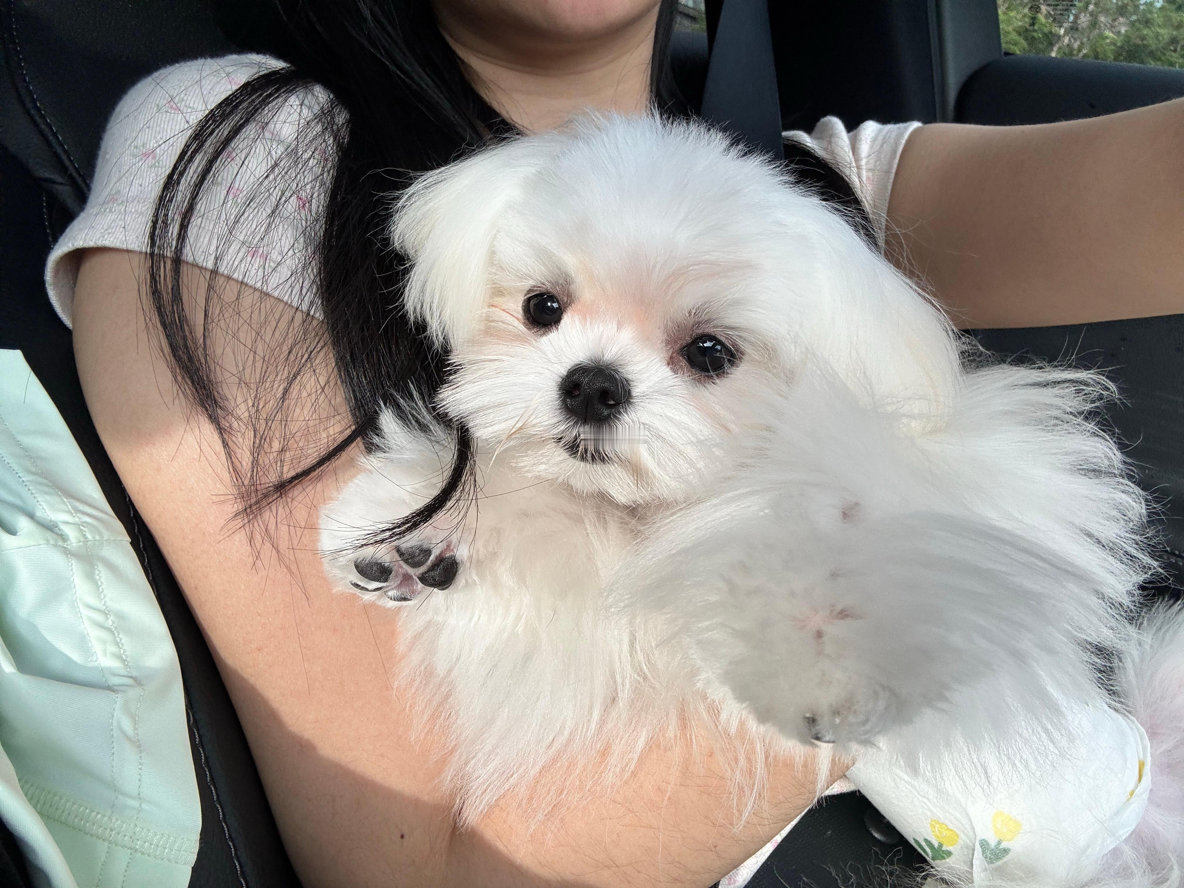 香木你很萌啊 ​​​