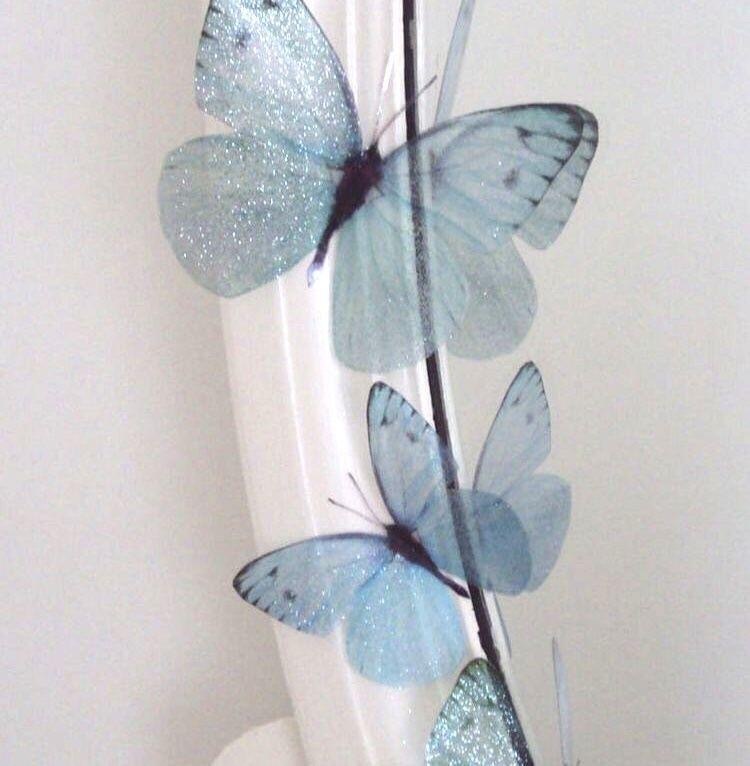 蓝色背景图💧 