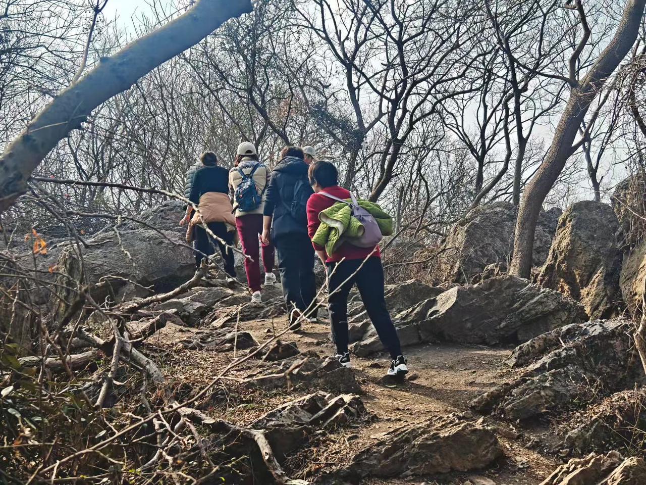 枯枝与石径铺成探险的诗，我们背着行囊，把自己走成，山林里会移动的“向往”。
🌳
