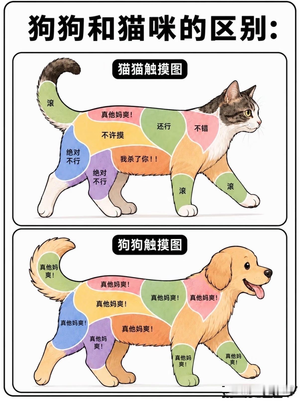 分享图片 ​​​