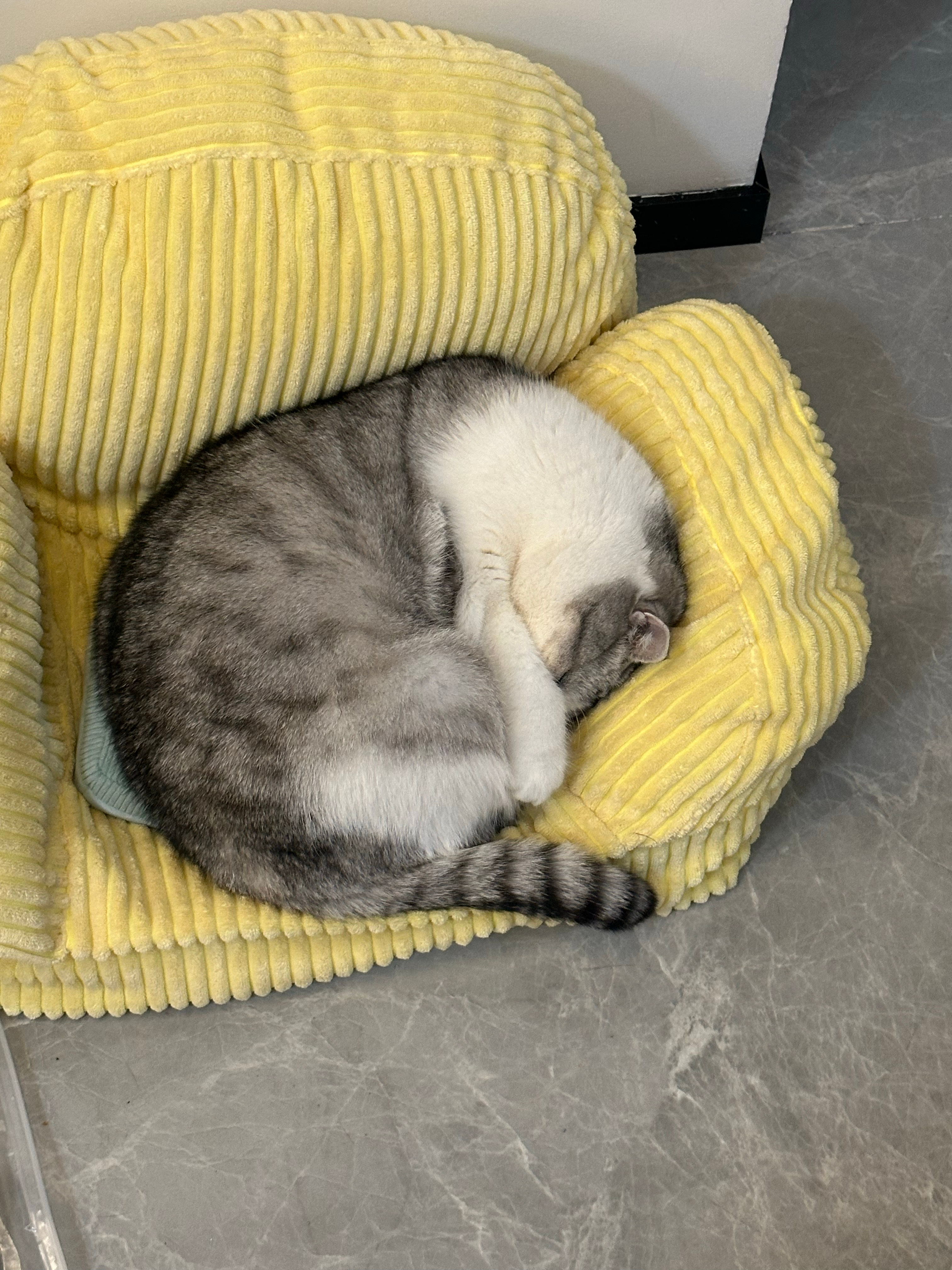 冬天的宝宝们🥺 ​​​