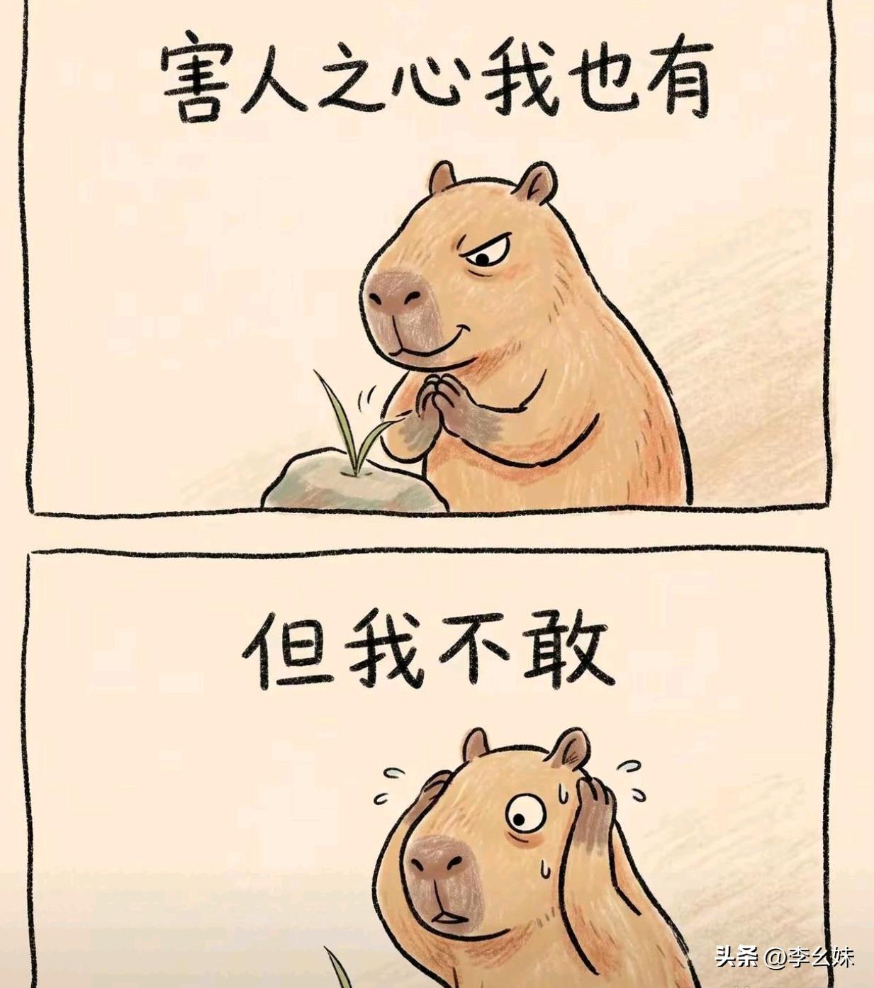 这才是当代年轻人最真实的现状