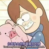 卧雪谈谈娱乐