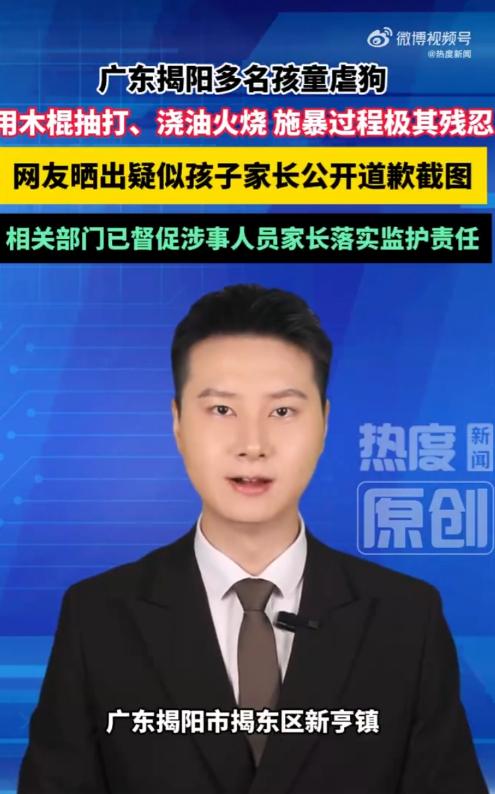 残忍！广东揭阳，几名未成年孩子围殴流浪狗，先用木棍抽打母狗，又用棍棒戳刺刚出生的